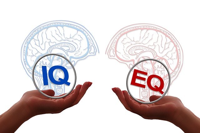 What Are The Countries With Highest Iq