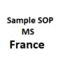 sample statement of purpose for llm admission in uk sample sop for ms masters in France