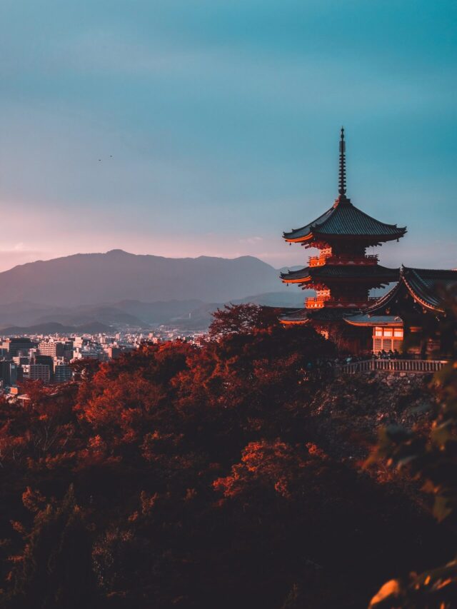 su-san-lee-E_eWwM29wfU-unsplash